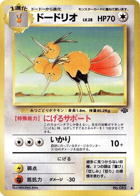 0-dodrio