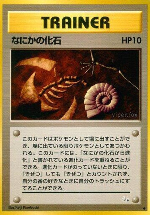 0-mysteriousfossil