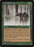 104-constantmists