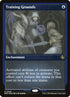 109-traininggrounds