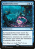 11-kindreddiscovery
