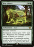 113-bearumbra