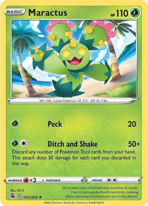 12-maractus