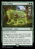 121-bearumbra