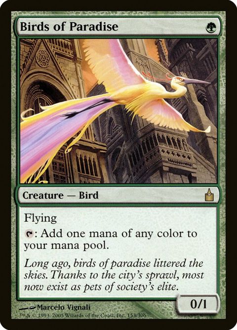 153-birdsofparadise