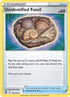 165-unidentifiedfossil