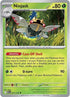17-ninjask