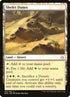 183-shefetdunes