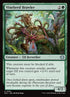 201-vinebredbrawler