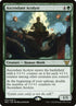 24-ascendantacolyte