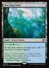251-breedingpool