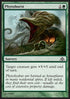 Phytoburst - Dragon's Maze (Common) [DGM-46]