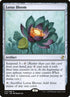 270-lotusbloom