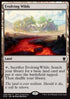 Evolving Wilds - Promos (Common) [PROM-248]