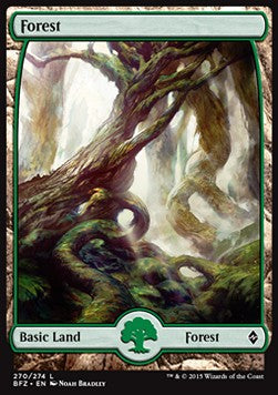 Forest (V.1) - Battle for Zendikar (Land) [BFZ-270]