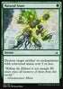 Natural State - Oath of the Gatewatch (Common) [OGW-136]