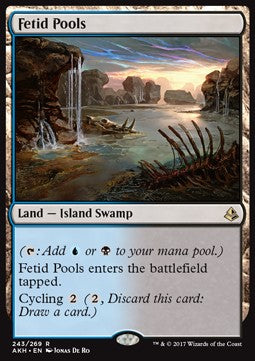 Fetid Pools - Amonkhet (Rare) [AKH-243]