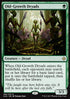 Old-Growth Dryads - Ixalan (Rare) [XLN-199]