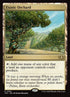 360-exoticorchard