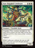 37-sundappledcelebrant