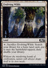 Evolving Wilds - Core 2020 (Common) [M20-246]