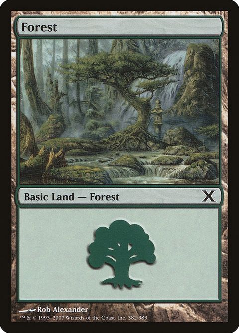 382-forest