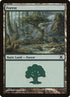 382-forest