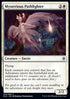 Mysterious Pathlighter - Throne of Eldraine (Uncommon) [ELD-22]
