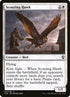 41-scoutinghawk