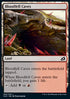 Bloodfell Caves - Ikoria: Lair of Behemoths (Common) [IKO-243]