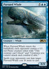Pursued Whale - Core 2021 (Rare) [M21-60]