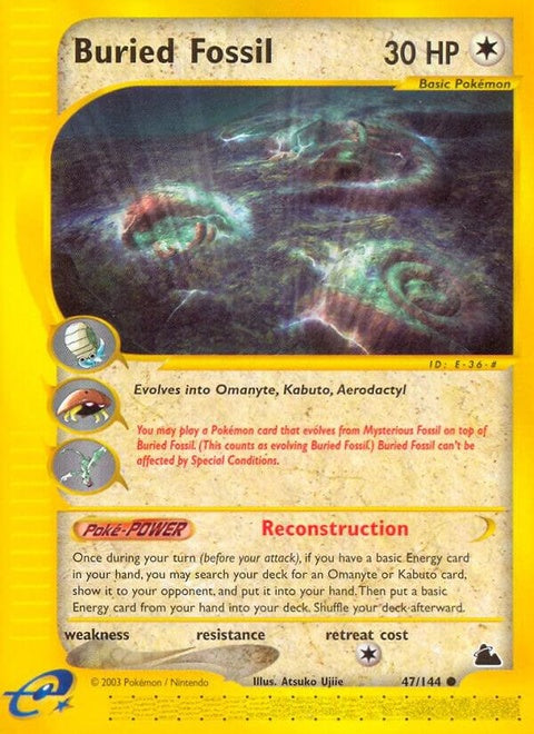 47-buriedfossil