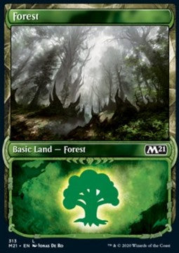 Forest - Core 2021: Extras (Land) [XM21-313]