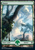 Forest (V.1) - Zendikar Rising (Land) [ZNR-278]