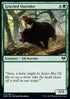 Grizzled Outrider - Kaldheim (Common) [KHM-173]
