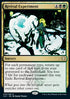 Revival Experiment - Commander: Strixhaven (Rare) [C21-74]