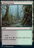Tainted Wood - Commander: Strixhaven (Uncommon) [C21-321]