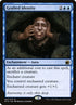 57-graftedidentity