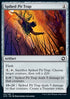 Spiked Pit Trap - Adventures in the Forgotten Realms (Common) [AFR-251]