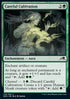 Careful Cultivation - Kamigawa: Neon Dynasty (Common) [NEO-178]