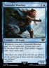 63-nimrodelwatcher