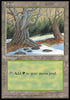 Forest (V.3) - Ice Age (Land)