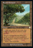 Exotic Orchard - Commander: The Brothers' War (Rare) [BRC-185]