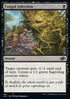 Fungal Infection - Jumpstart 2022 (Common) [J22-416]