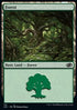 Forest (V.1) - Jumpstart 2022 (Land) [J22-110]