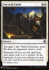 Survival Cache - The List (Common) [ZNL-34]