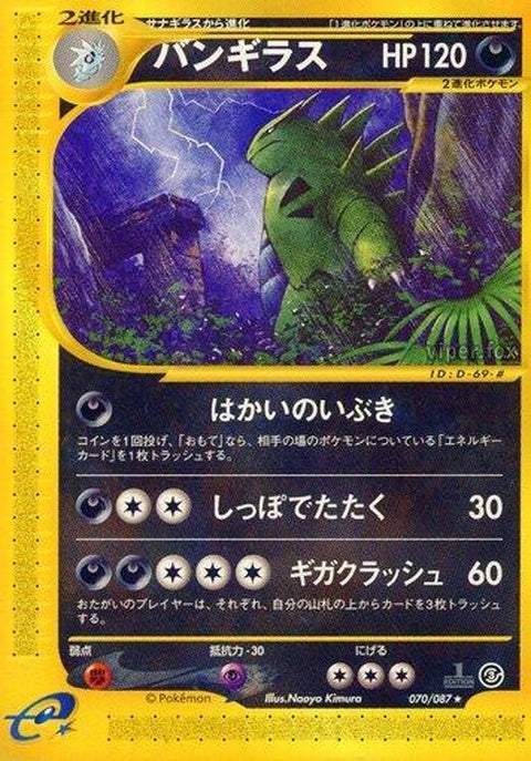 70-tyranitar