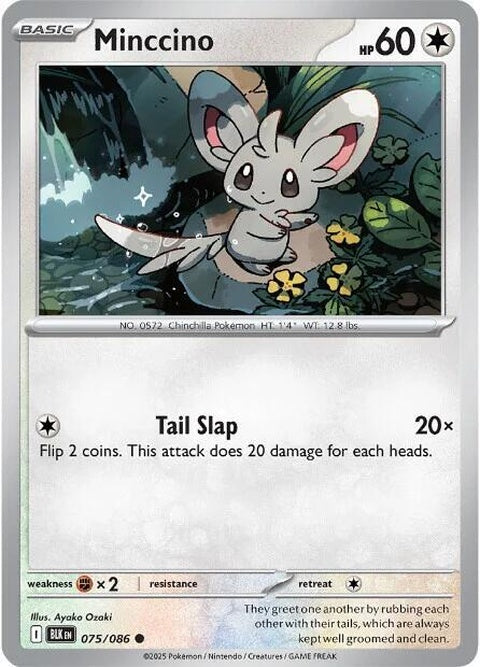 75-minccino