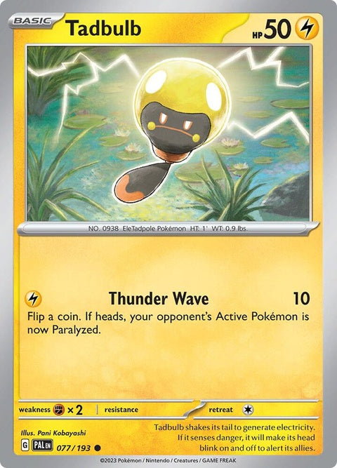 77-tadbulb