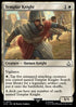 Templar Knight - Universes Beyond: Assassin's Creed (Uncommon) [ACR-10]